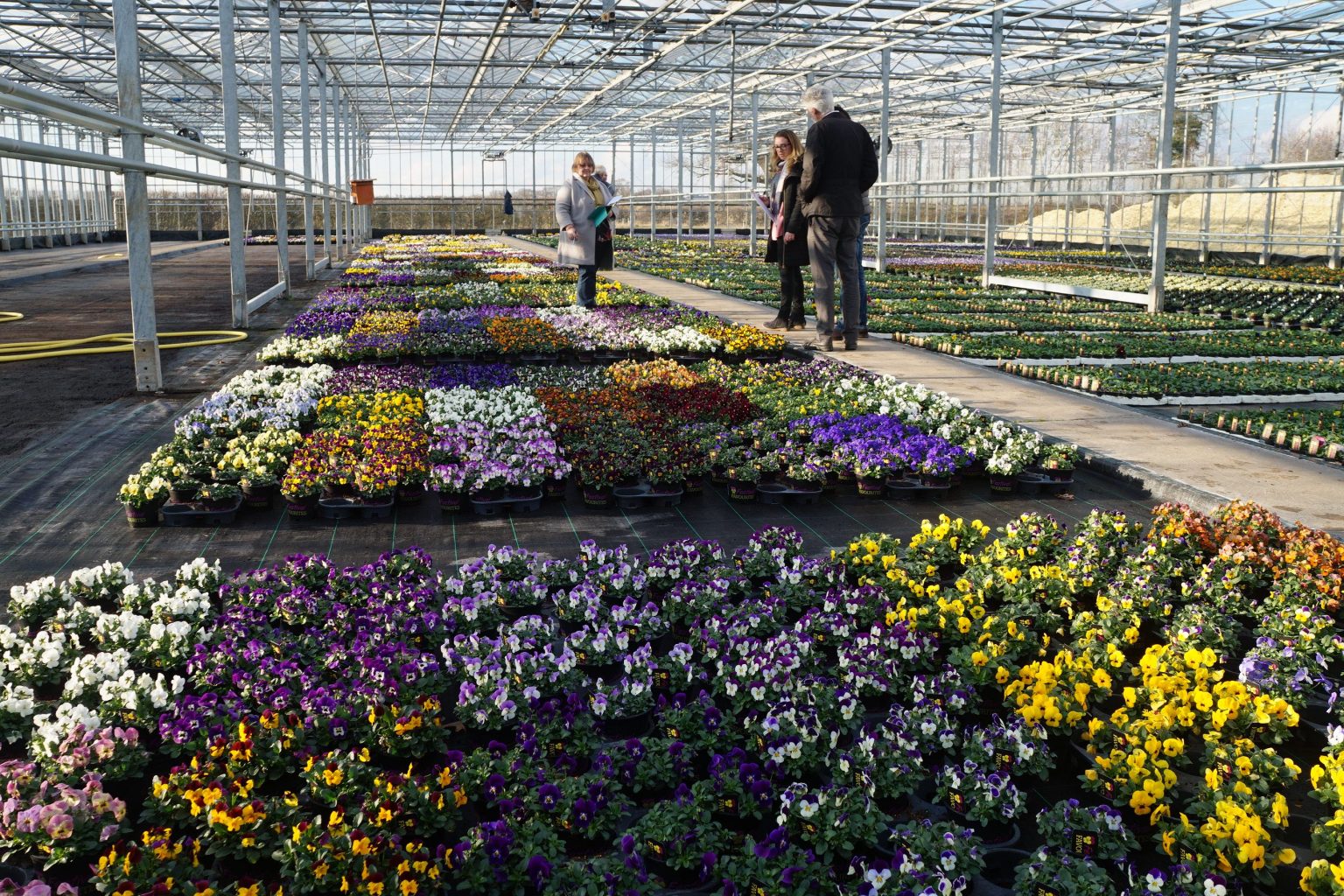 About the British Protected Ornamentals Association BPOA